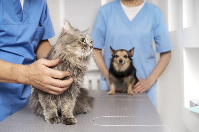 PartnerVet Expands Network in South-East Romania by Integrating KarmaVet Clinic in Tulcea