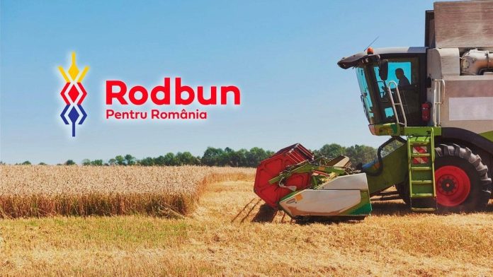 Rodbun secures 19.5 million EUR financing to reforest 1,000 hectares