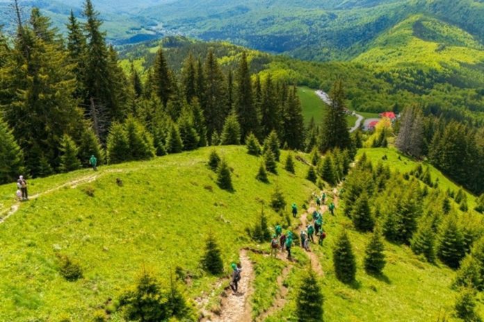 Ciucaș restores the Valea Berii – Ciucaș Peak – Muntele Roșu mountain trail