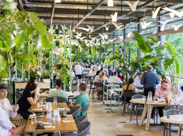 City Grill cuts planned 2026 investments by half