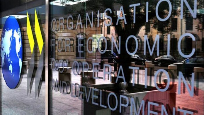 OECD: AI investments will continue and deliver long-term gains