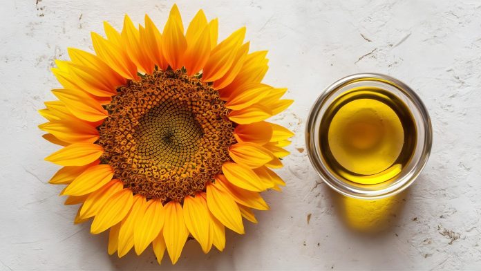 Romanian sunflower oil brand Republika enters the Chinese market