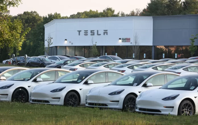 Tesla posts modest gains across selected European markets