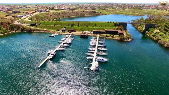 SetSail sees rising interest from business leaders